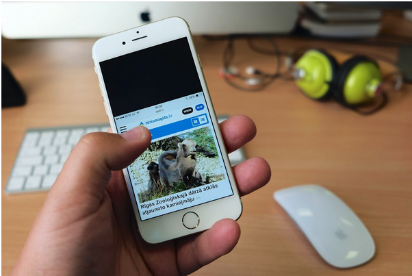 Сведения о пользователях Сведения о пользователях