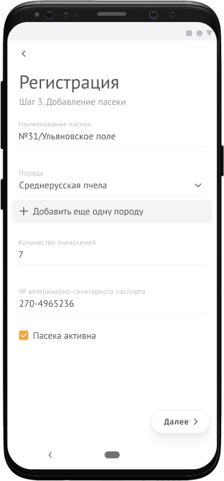 Добавление  пасеки